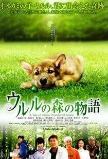 乌鲁鲁的森林物语海报
