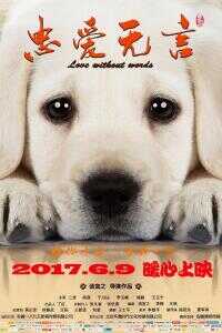 忠爱无言海报