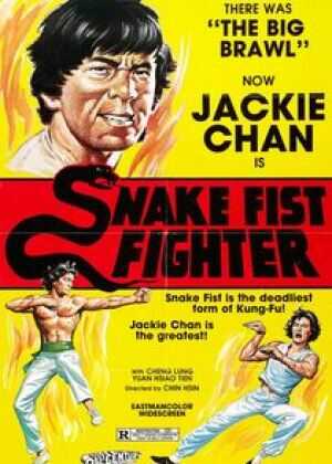 广东小老虎海报