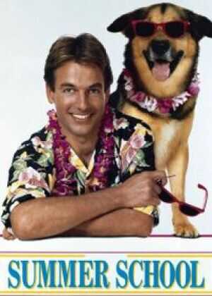 夏日补习班海报