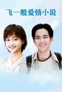 飞一般爱情小说海报