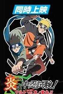 火影忍者剧场版:炎之中忍试验!鸣人VS木叶丸!