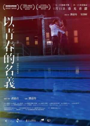 以青春的名义海报