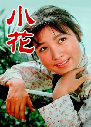 小花海报