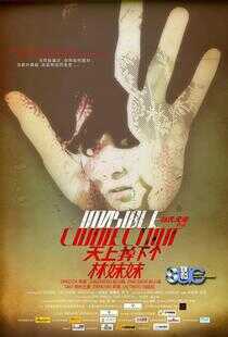 天上掉下个林妹妹