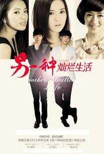 另一种灿烂生活海报