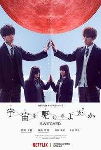 翱翔于天际的夜鹰海报