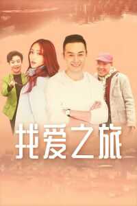 找爱之旅海报