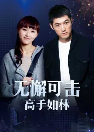 无懈可击之高手如林海报