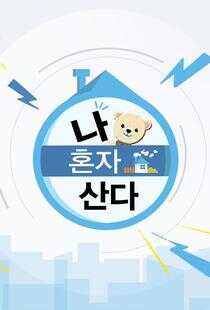 我独自生活海报