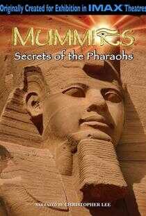 木乃伊之法老的秘密海报