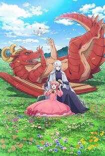 龙先生，想要买个家。海报