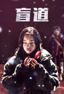 盲·道海报