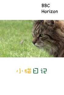 地平线系列:小猫日记海报