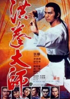 洪拳大师海报
