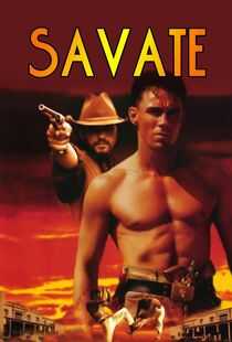 萨瓦特海报