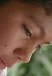 <a href=/tag/18-0.html target=_blank class=infotextkey>战争</a>回响