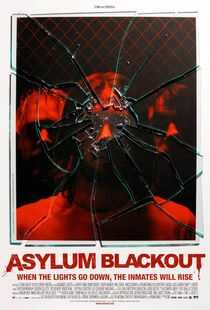 疯人院事件海报