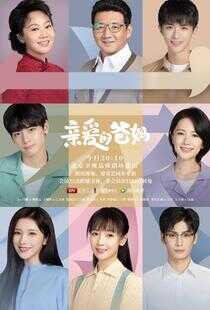 亲爱的爸妈海报