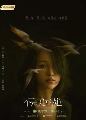 不完美的她海报