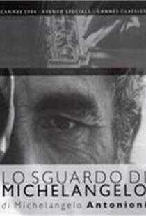 米开朗基罗的凝视海报