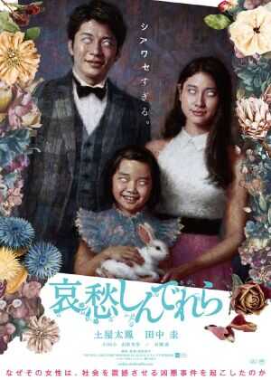 哀愁灰姑娘海报