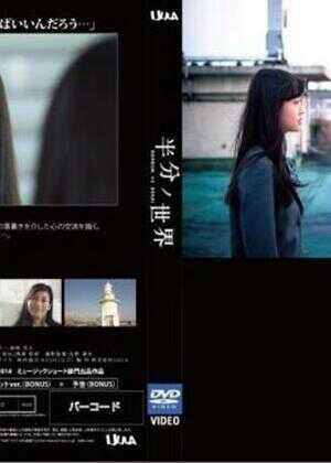 我的世界只有一半海报