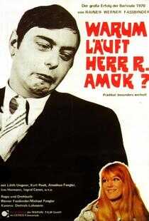 R先生为什么疯狂地杀人?海报