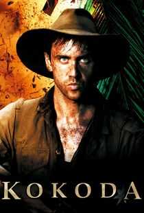 苦战科科达海报