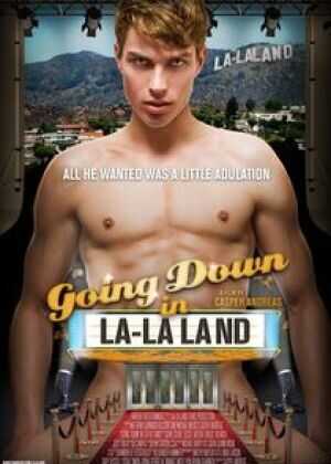 浮沉洛杉矶海报