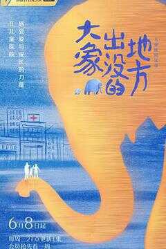 大象出没的地方海报