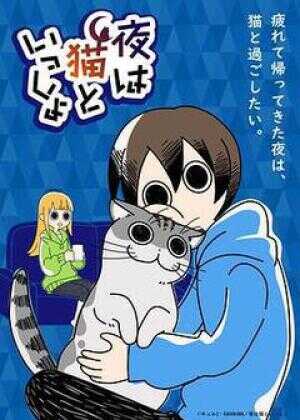 关于养猫我一直是新手海报