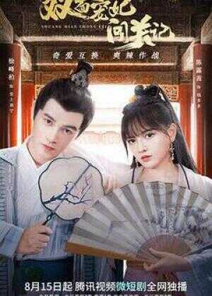 双面宠妃闯关记海报