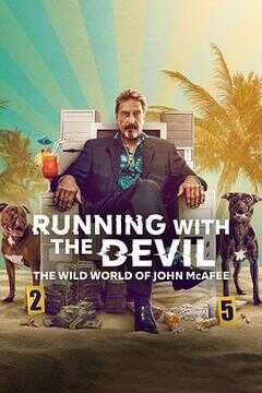 杀毒软件之父迈克菲:心魔、逃亡与疯狂人生海报