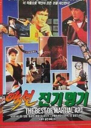 金装武术电影大全海报