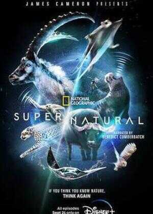 超/自然海报