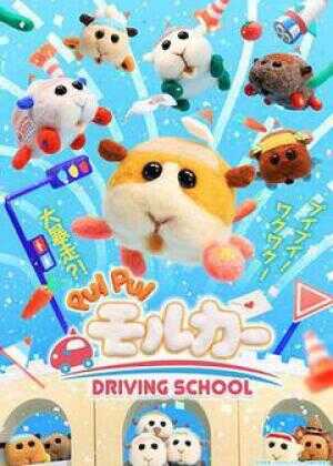 天竺鼠车车 学车篇