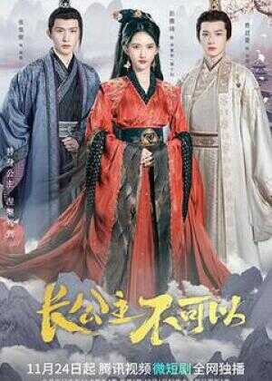 长公主不可以海报