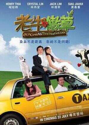 老牛与嫩草海报