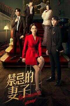 禁忌的妻子海报