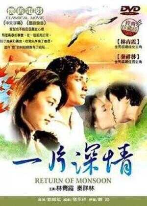 一片深情海报