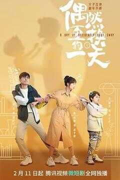 偶然互换的一天海报