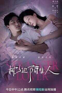 枕边陌生人海报