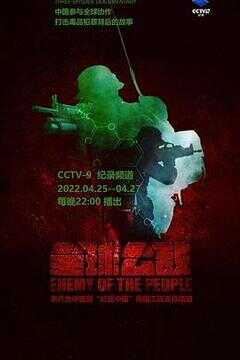 全球公敌海报