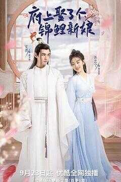 府上娶了个锦鲤新娘海报