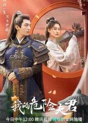 我的危险夫君海报