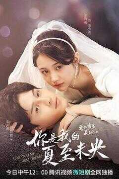 你是我的夏至未央海报