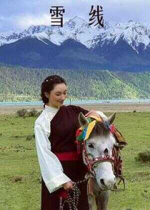 雪莲花盛开的地方