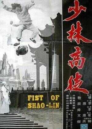 少林高徒海报