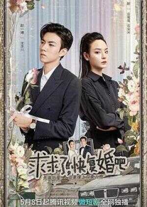 求求了，快复婚吧海报